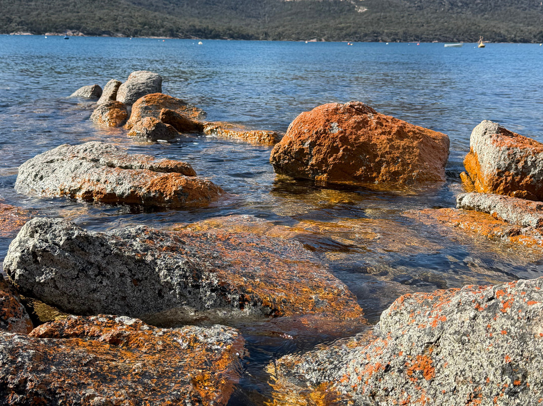 Tasmanian Expeditions-Invermay必去景点