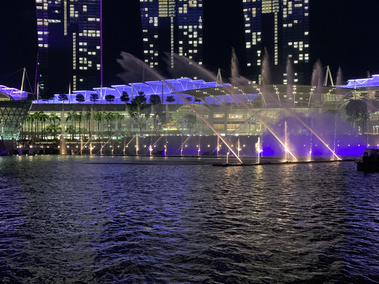 Lion Heartlanders-新加坡必去景点