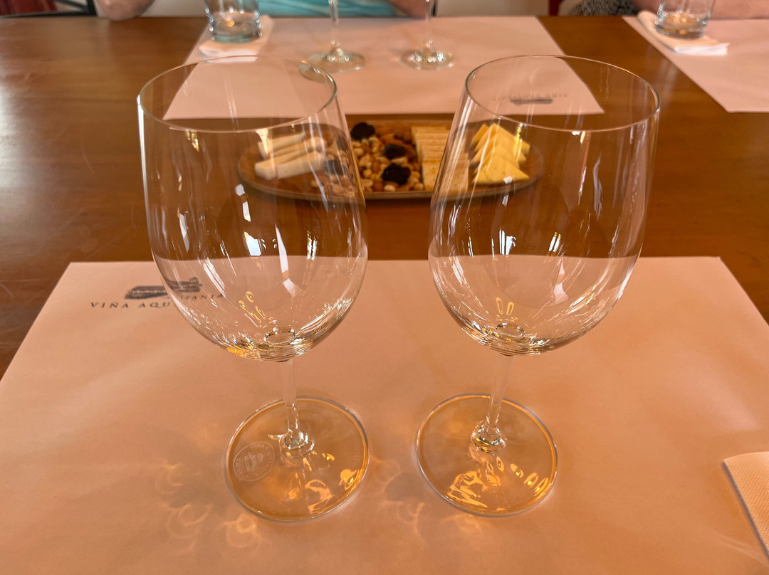 Vina Aquitania-圣地亚哥必去景点