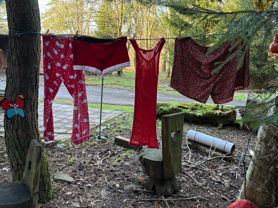 Woodland Experiences Limited-Balfron必去景点