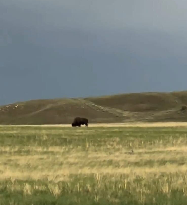 Grasslands National Park-萨斯喀彻温省必去景点