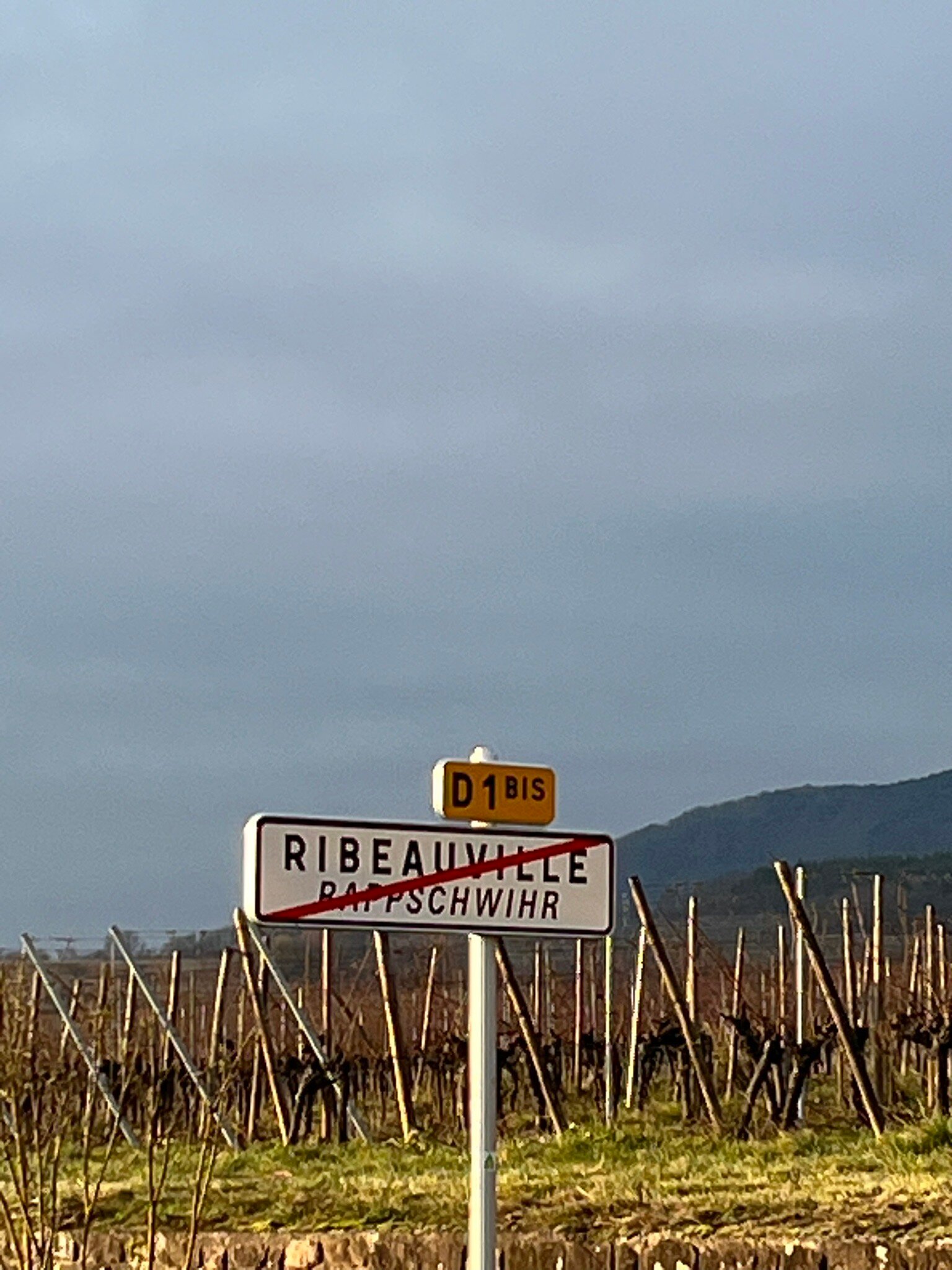 Hotel Le Menestrel-官方