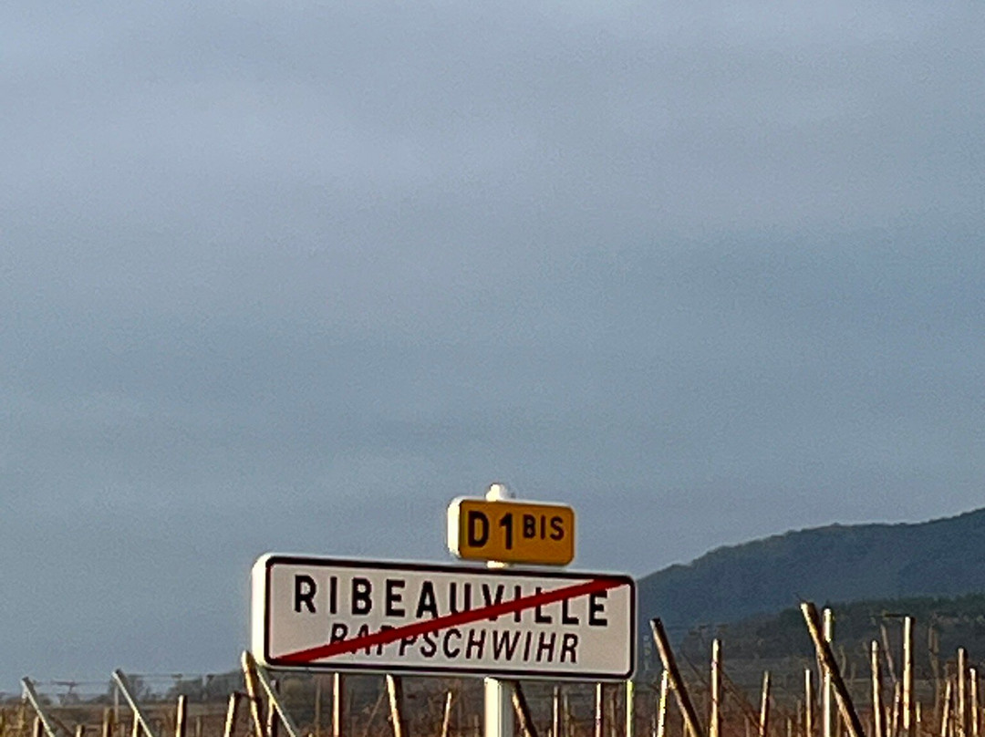 Hotel Le Menestrel主图