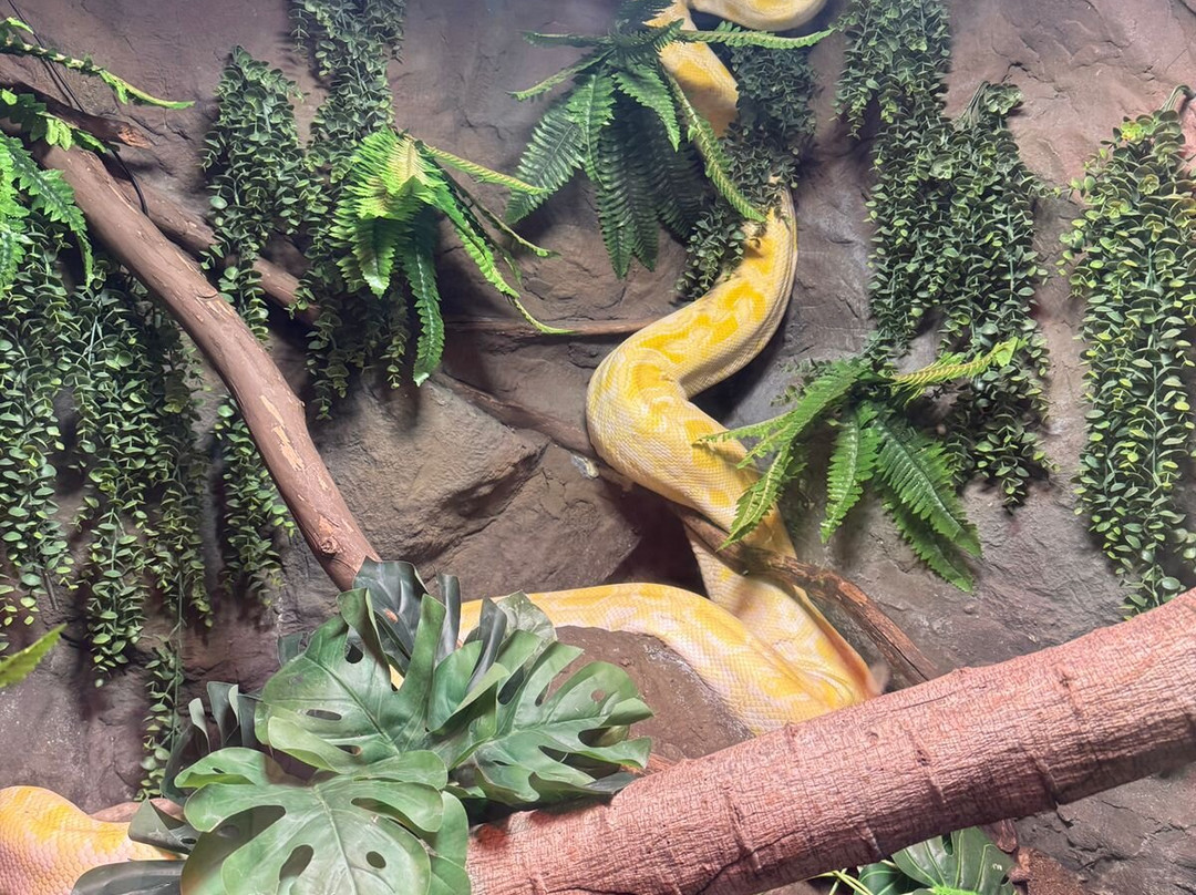 Acuario Michin Guadalajara-瓜达拉哈拉必去景点