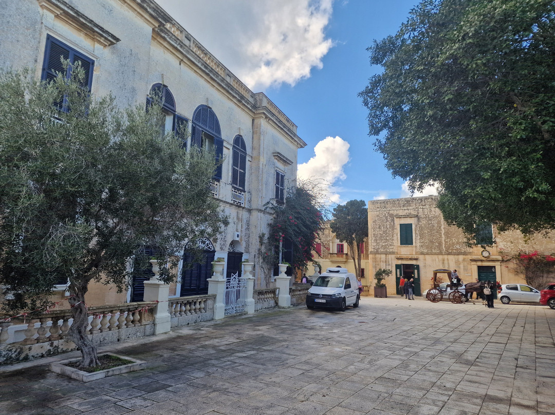 Panoramic Malta Viewpoint