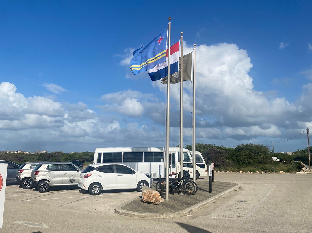Aruba Aloe Factory, Museum and Store-阿鲁巴岛必去景点