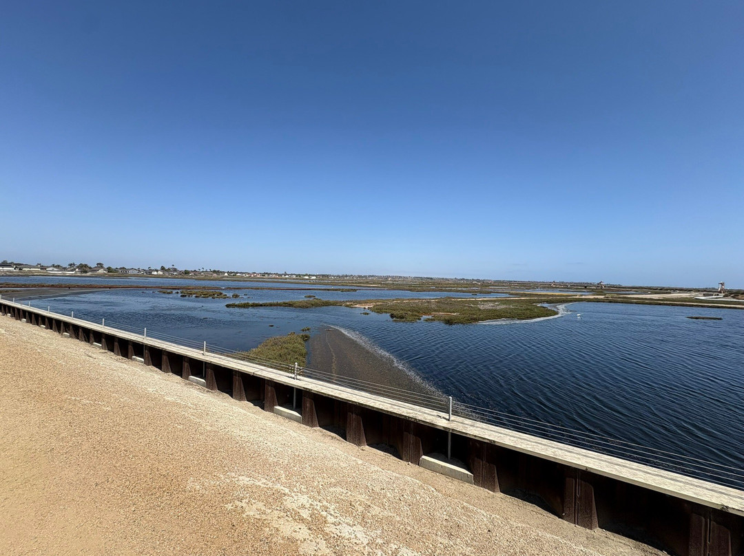Bolsa Chica Ecological Reserve-亨廷顿海滩必去景点
