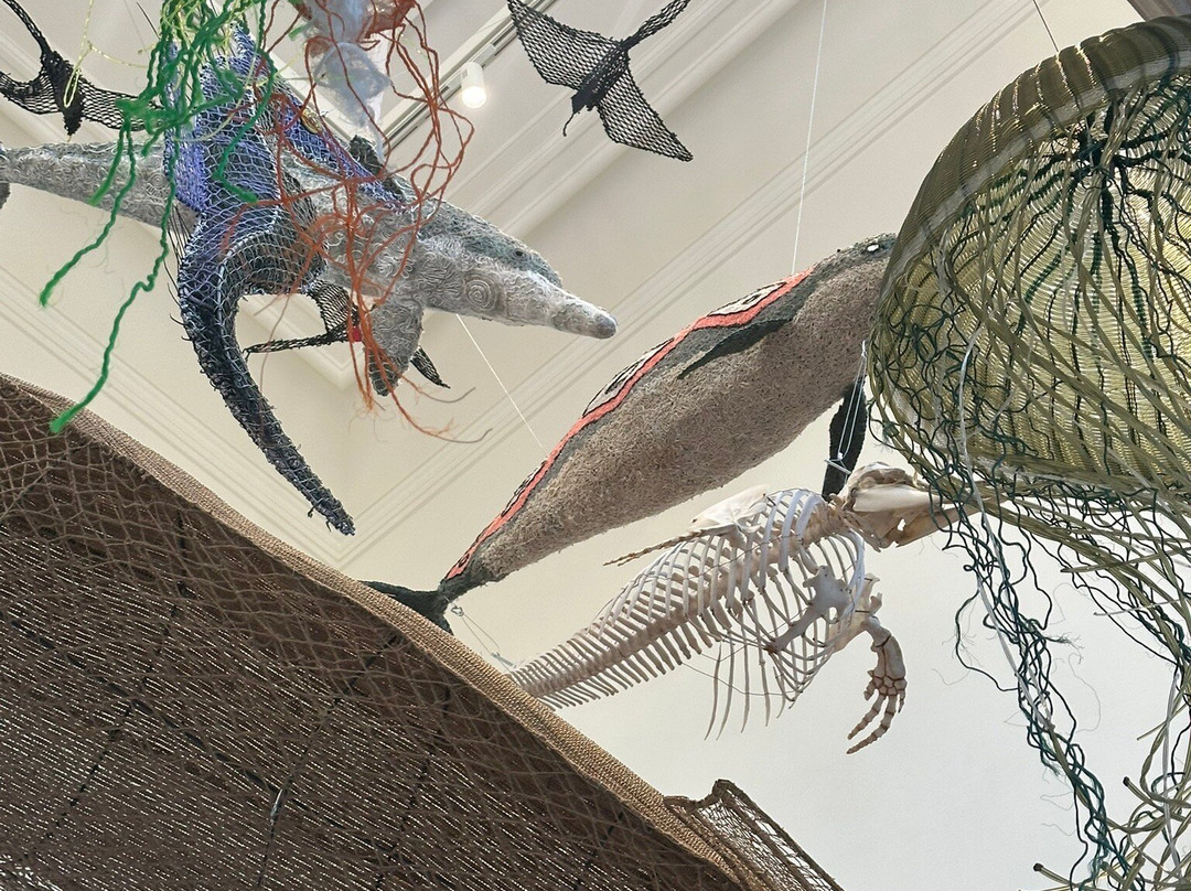 Muséum d'Histoire Naturelle-勒阿弗尔必去景点