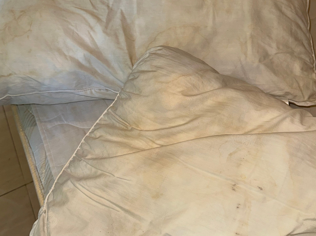 巴厘斯瓦哈酒店主图