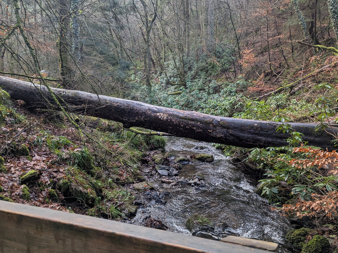 Fairy Glen Falls-Rosemarkie必去景点