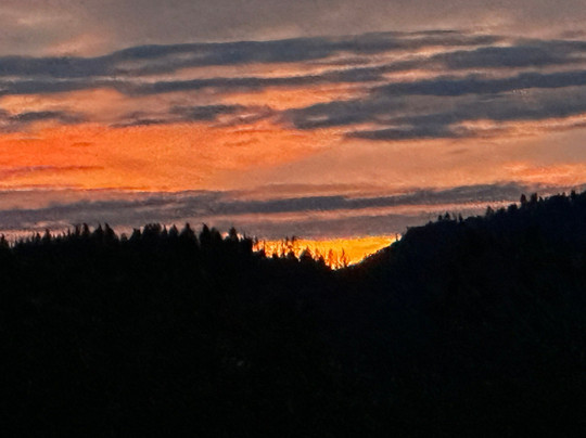 Mariposa Grove of Giant Sequoias-优胜美地国家公园必去景点