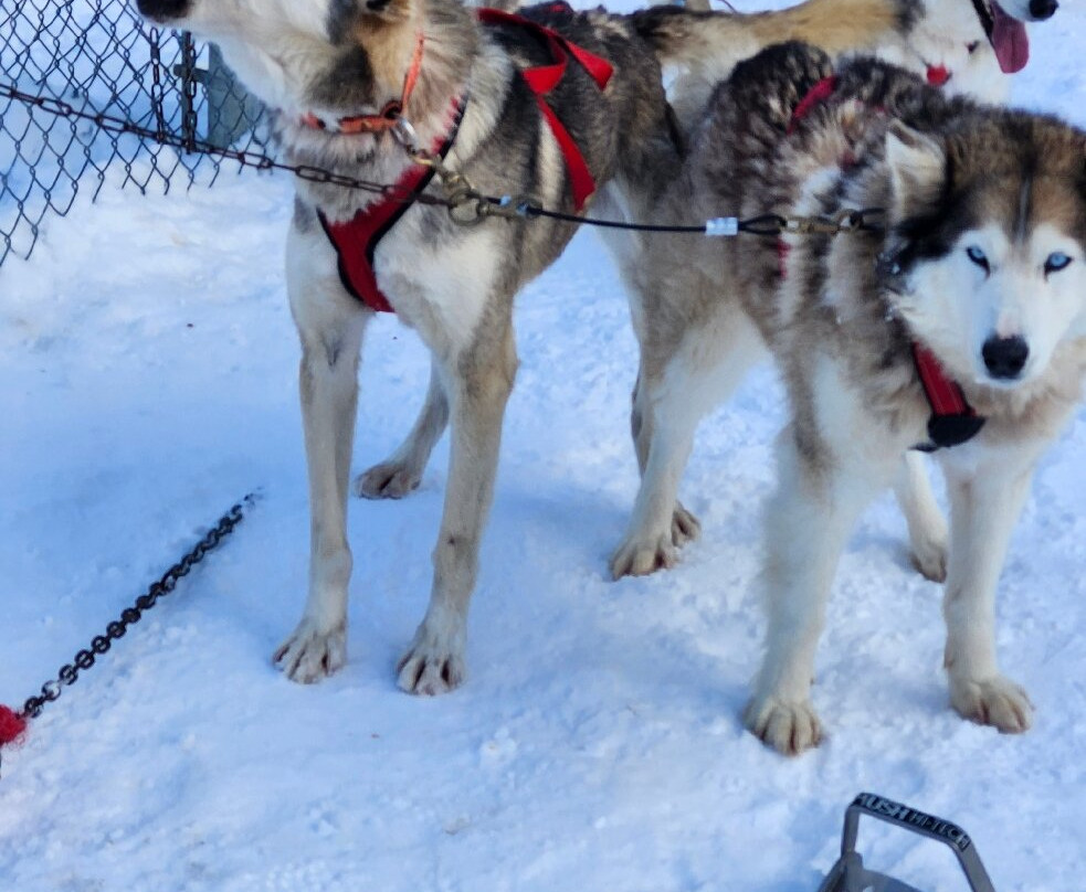 Secrets Nordiques Day Tours-博普雷必去景点