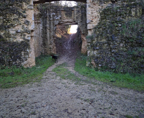 Fortezza Medicea di Poggio Imperiale-波吉邦西必去景点