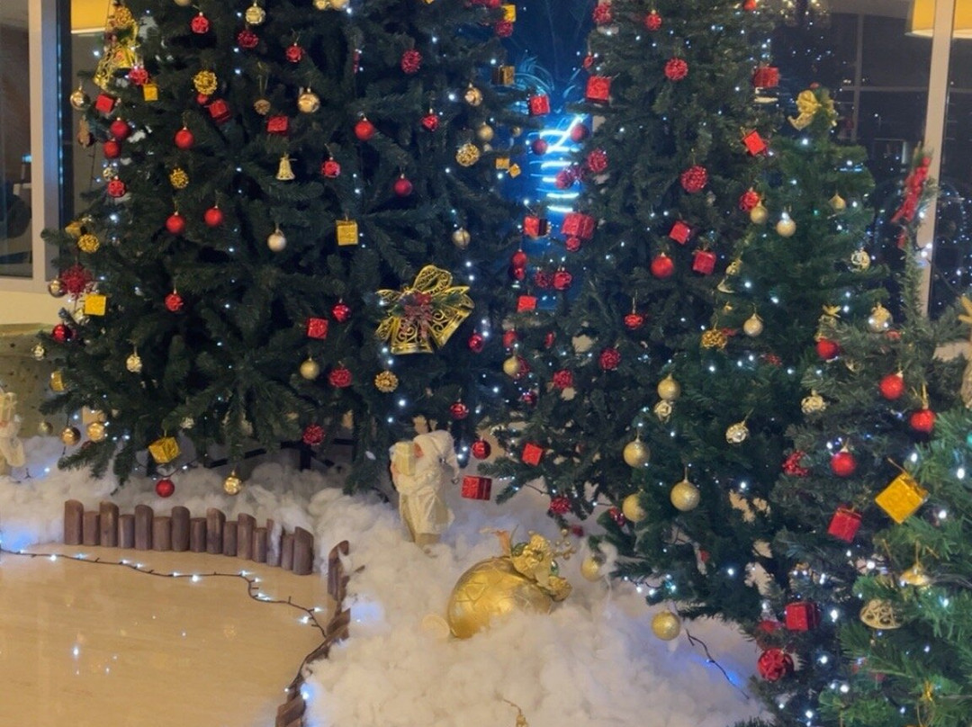 Holiday Inn Muscat Al Seeb By IHG主图