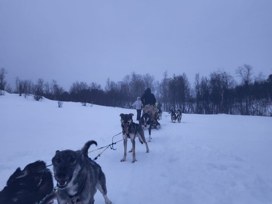 Into Nature-Meistervik必去景点