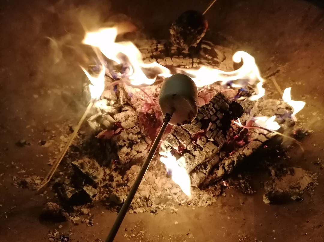 Aztec Adventure - The Lost Valley-伊夫舍姆必去景点