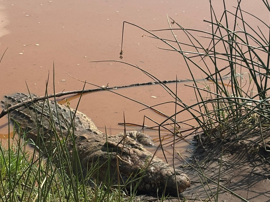 DIDA SAFARI KENYA-瓦塔木必去景点