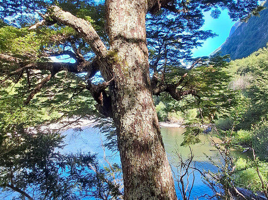 enPatagonia Tours-Puerto Chacabuco必去景点