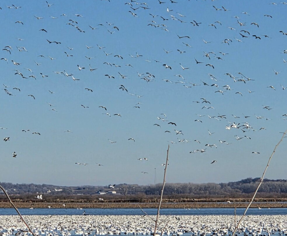 Loess Bluffs National Wildlife Refuge-Mound City必去景点