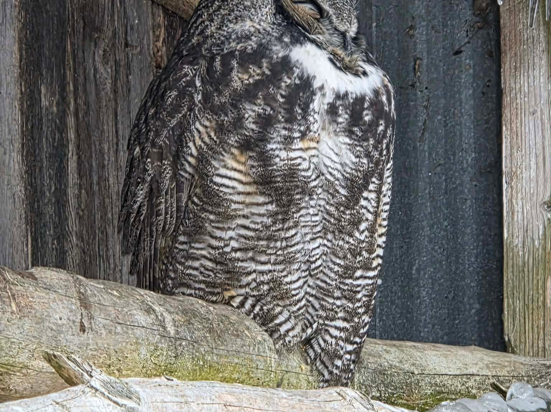 CineZoo-Sainte-Anne-de-la-Rochelle必去景点
