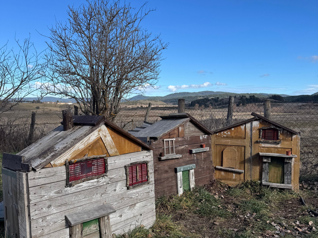 Treno della Sila-Camigliatello Silano必去景点