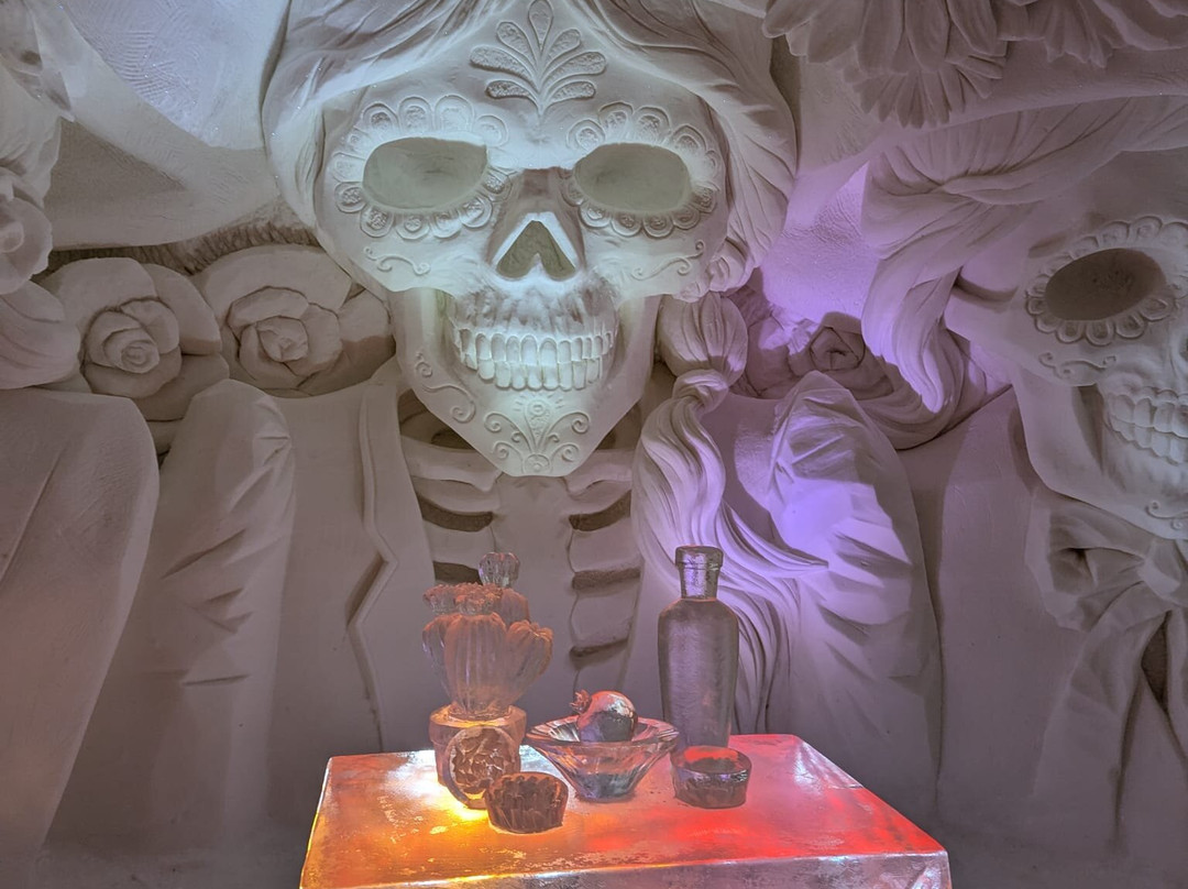 Lapland Safaris Yllas-Akaslompolo必去景点