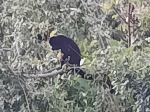 萨马拉星星旅馆主图