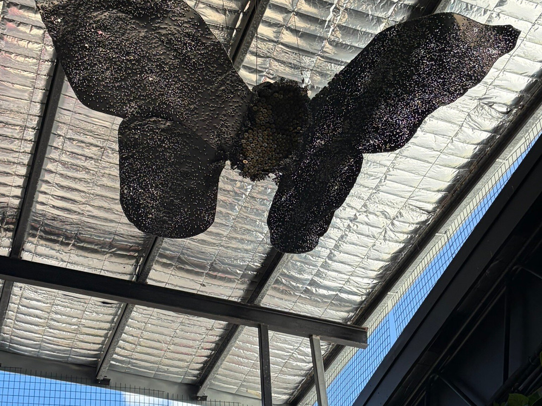 M|Arts Precinct-Murwillumbah必去景点