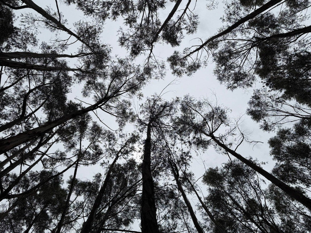 Waliki Tours Peru-库斯科必去景点