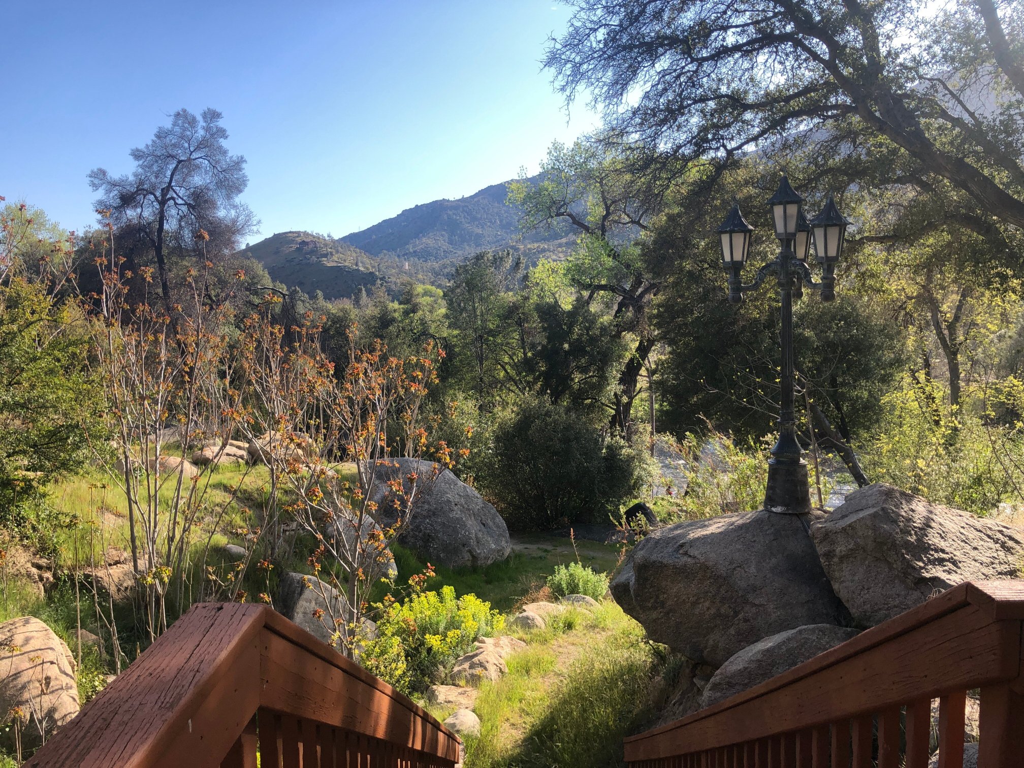 Whispering Pines Lodge-官方