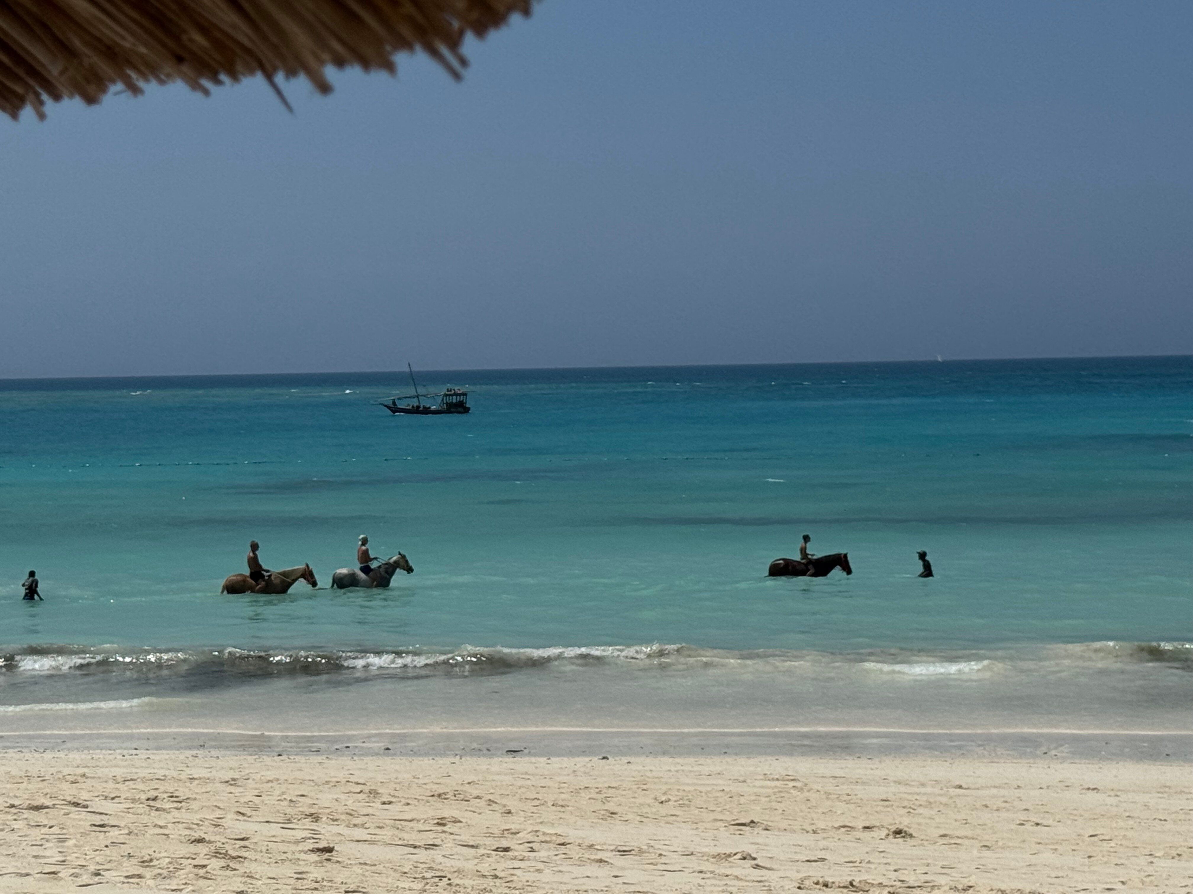 Zuri Zanzibar-官方