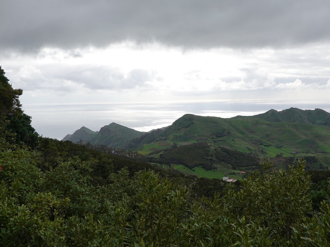 Discover Tenerife VIP Tours-圣克鲁斯-德特内里费必去景点