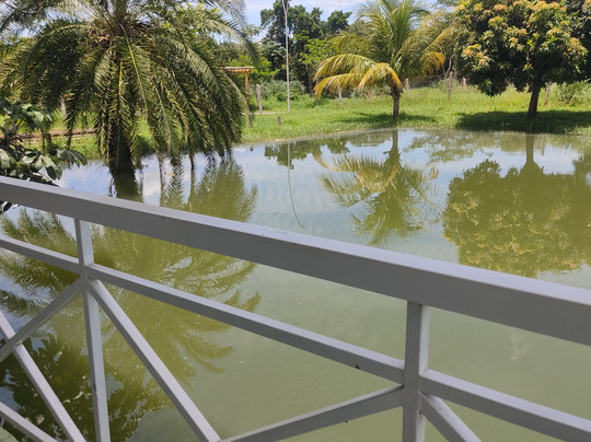 Conrado Palace Hotel主图