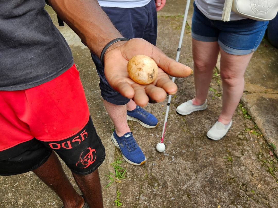 Palm Tree Gardens Botanical Garden-Saint David's必去景点