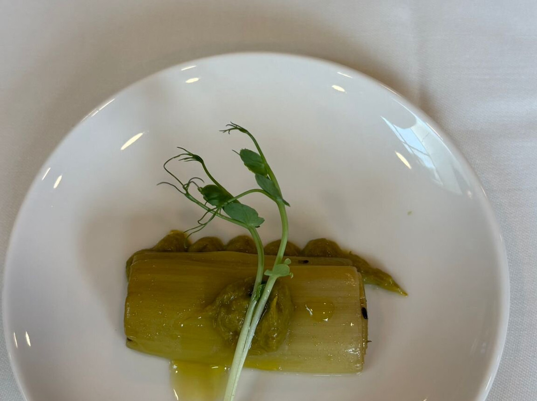 Avalon Holistic Ayahuasca Retreats-巴塞罗那必去景点