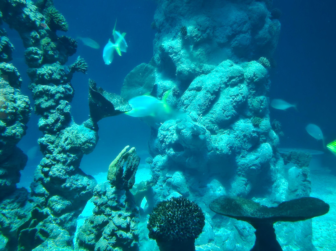 The Deep-赫尔河畔金斯顿必去景点