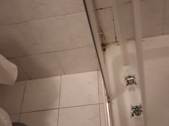 Little Sweet Escape主图