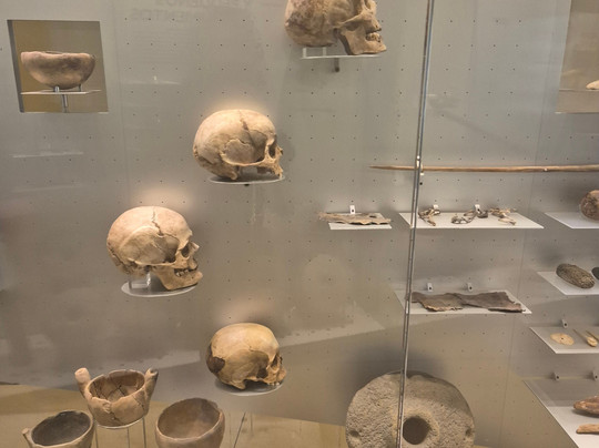 Museo de Naturaleza y Arqueologia-圣克鲁斯-德特内里费必去景点