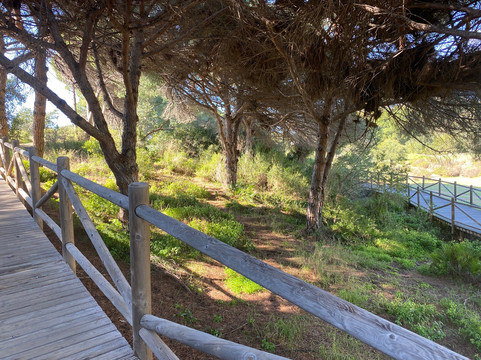 Dunas De Artola-马贝拉必去景点