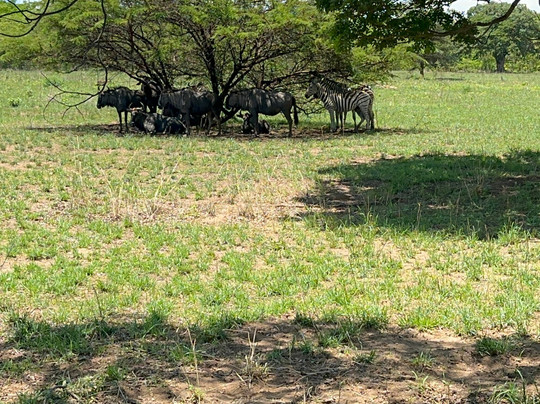 Kumbali Country Lodge主图