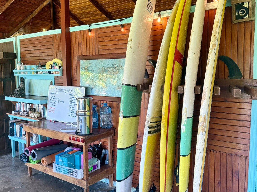 Surf Expedition-帕沃尼斯必去景点