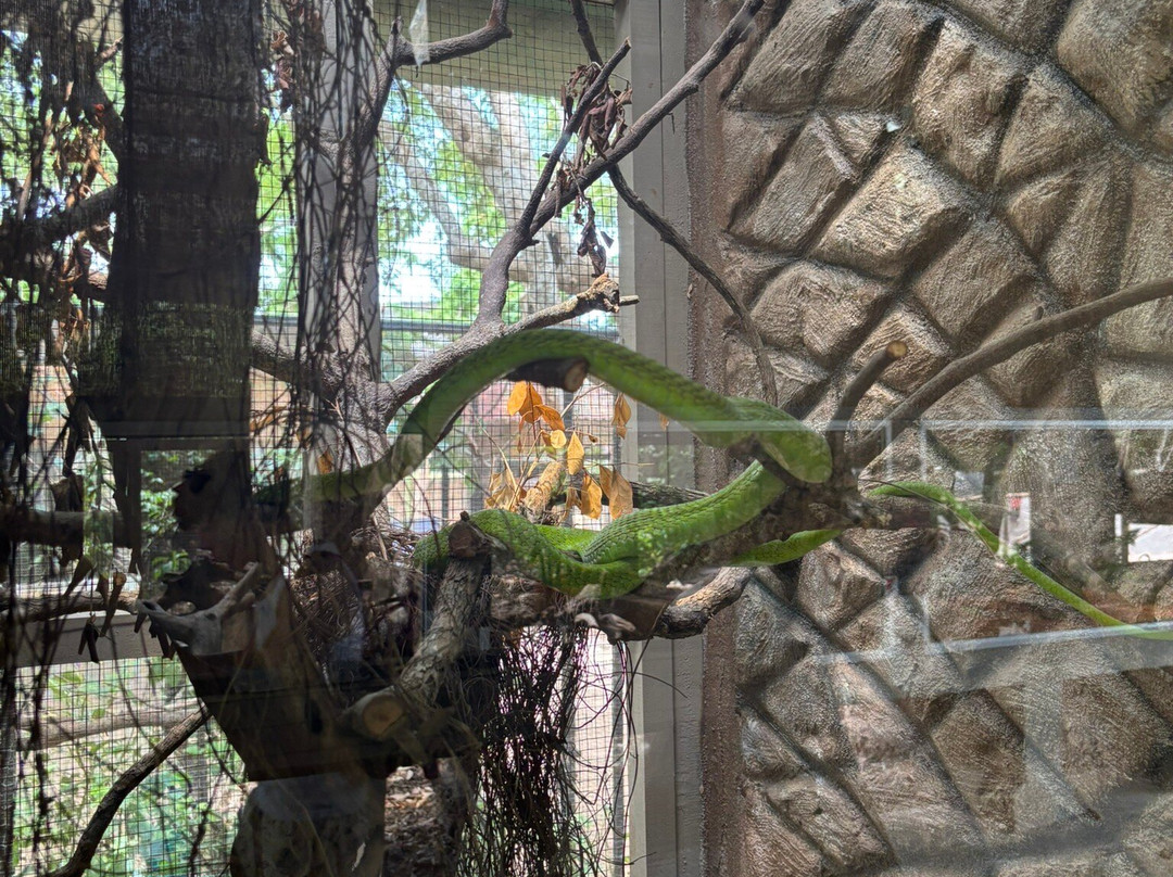The Watamu Snake Farm-瓦塔木必去景点