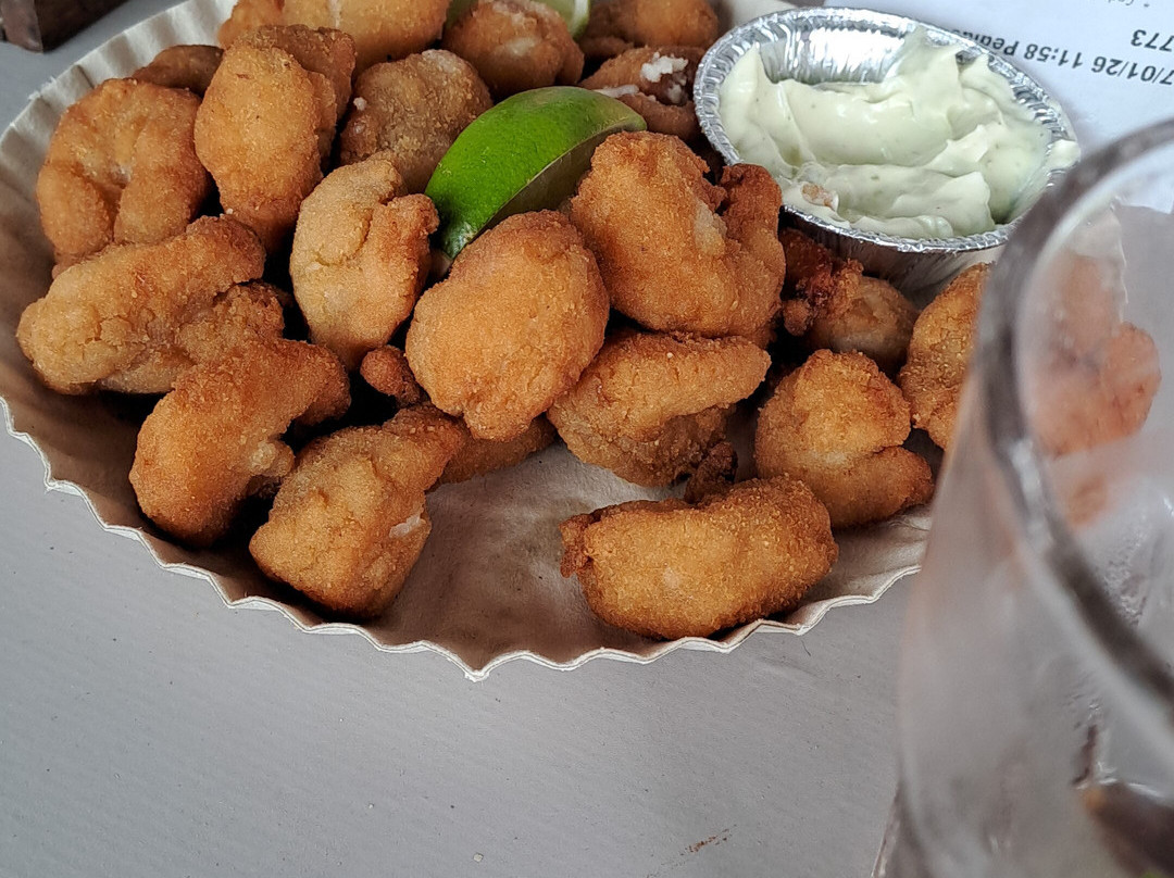 Descubra Floripa-弗洛里亚诺波利斯必去景点