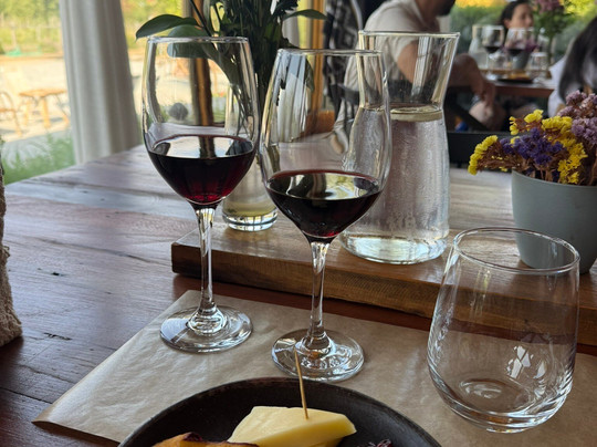 Campo La Quirinca-Isla de Maipo必去景点