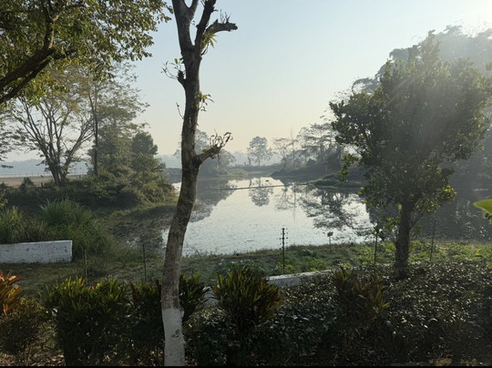 The Riverwood Forest Retreat Dooars主图