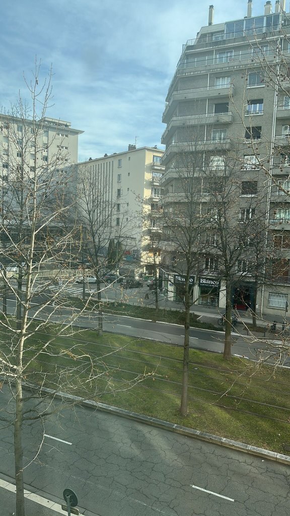 格勒诺布尔中心阿尔卑斯之门美居酒店-酒店景观