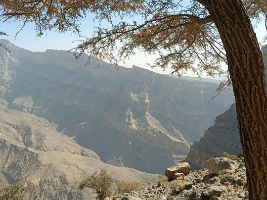 Jebel Shams Guide-Al Hamra必去景点