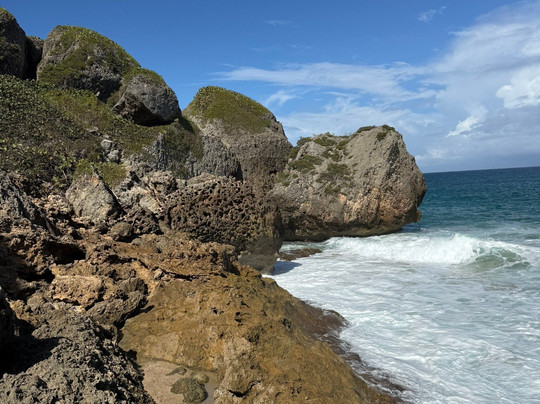 Survival Beach-Aguadilla必去景点
