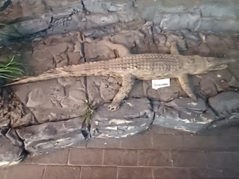 Interpretation Centre & Blyde Museum