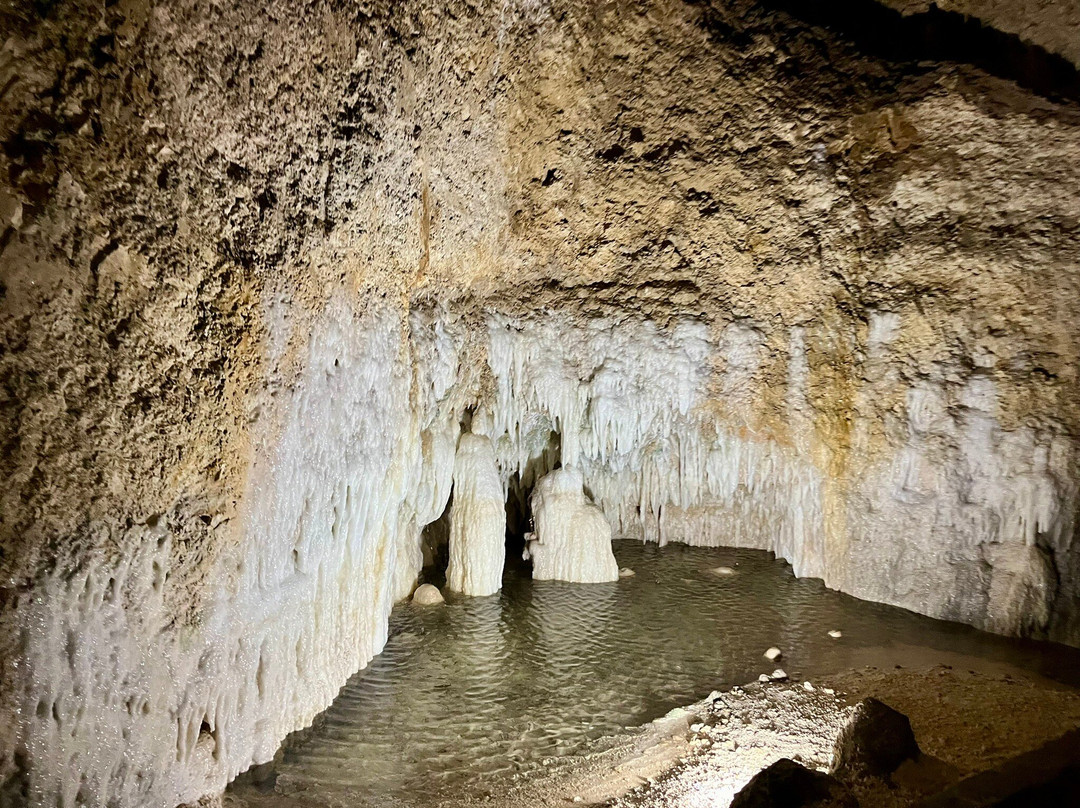 Harrison's Cave Eco-Adventure Park-Saint Thomas Parish必去景点